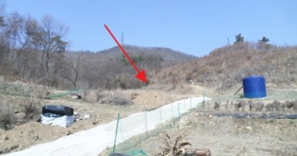 강원도 원주시 부론면 정산리 OOO 전 경매 물건 이미지
