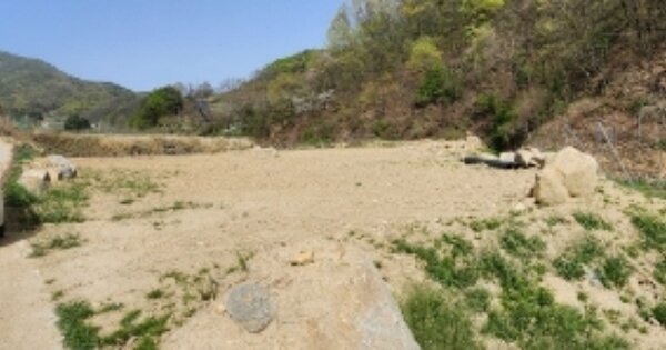 경상북도 안동시 풍산읍 죽전리 OOO O OOO 답 경매 물건 이미지