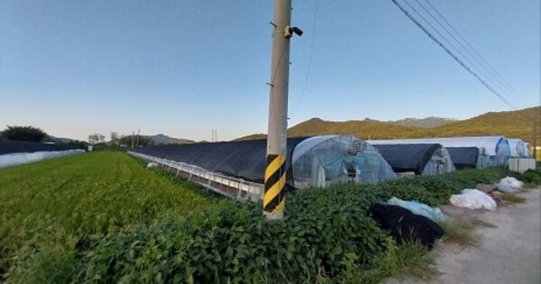 충청남도 공주시 계룡면 화헌리 OOOO O OOO 답 경매 물건 이미지
