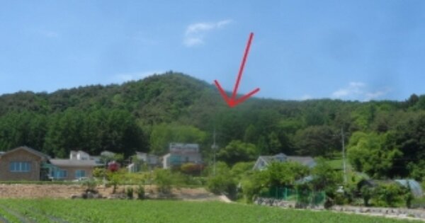 강원도 평창군 봉평면 면온리 OOOOOO 임야 경매 물건 이미지