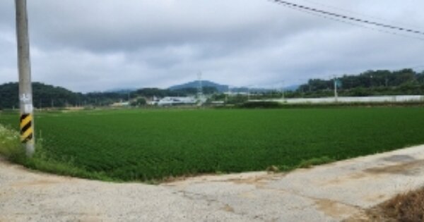 경상북도 안동시 풍산읍 괴정리 OOO O OOO 답 경매 물건 이미지