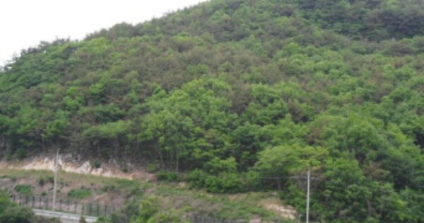 경상남도 남해군 상주면 양아리 OOOOOO O OOO 임야 경매 물건 이미지
