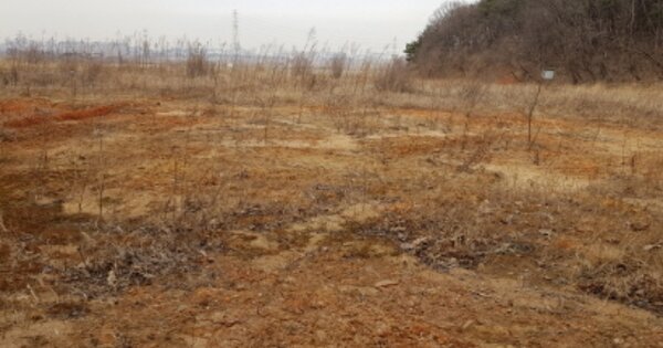 충청남도 당진시 송악읍 정곡리 OOOOO 답 경매 물건 이미지
