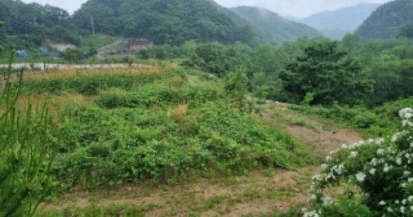 경상북도 경주시 문무대왕면 범곡리 OOO O OOO 답 경매 물건 이미지