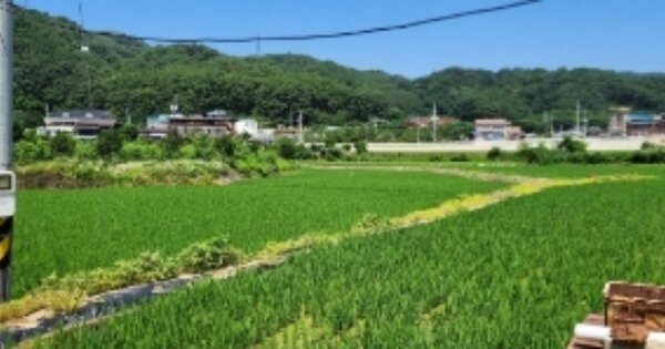 경상북도 안동시 송천동 OOOOOO 답 경매 물건 이미지