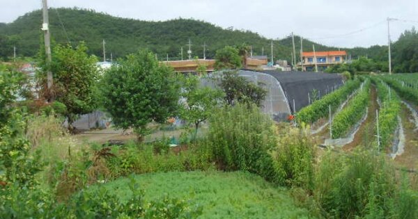 전라남도 진도군 군내면 녹진리 OOOO 전 경매 물건 이미지