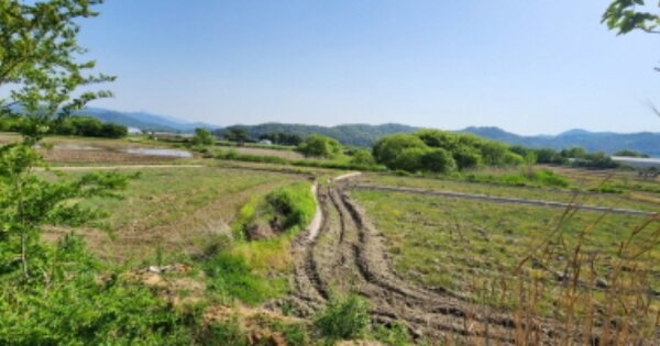 경상북도 구미시 선산읍 이문리 OOO 답 경매 물건 이미지