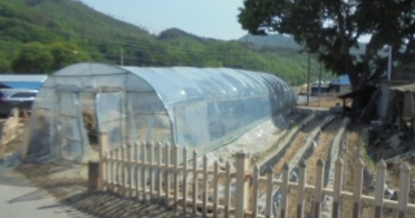 충청북도 음성군 원남면 조촌리 OOOOO O OOO 대지 경매 물건 이미지