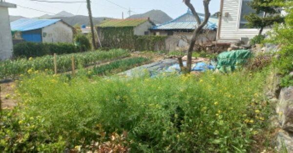 경상남도 거제시 거제면 오수리 OOOOO 대지 경매 물건 이미지