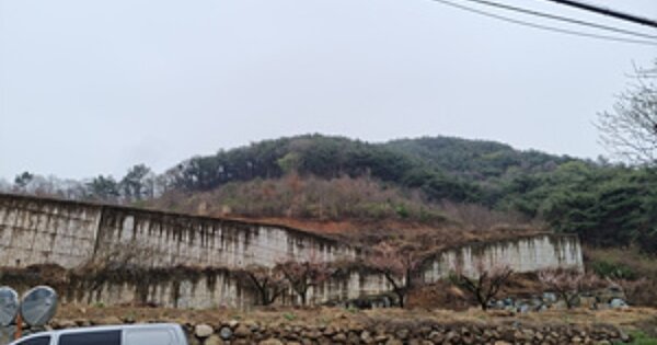 경상남도 창원시 의창구 북면 내곡리 OOOO O OOO 과수원 경매 물건 이미지