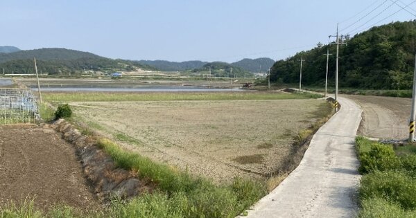 전라남도 무안군 청계면 남성리 OOOOO 답 경매 물건 이미지