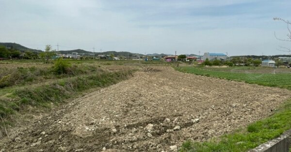 충청남도 서산시 인지면 산동리 OOOOO O OOO 답 경매 물건 이미지