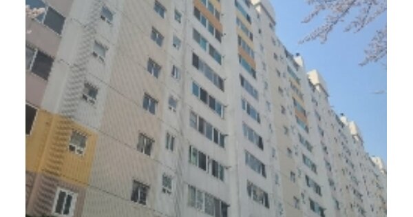 광주 남구 방림동 556-1, 207동 OOOOOO 아파트 경매 물건 이미지