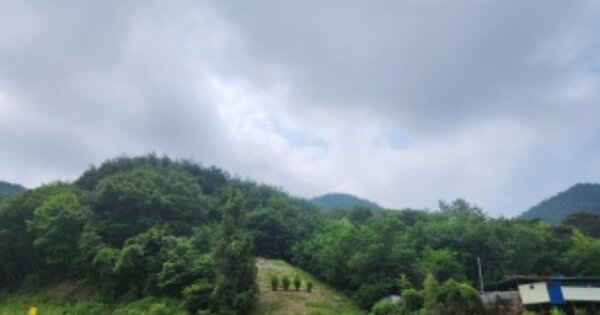 경상남도 고성군 대가면 암전리 OO O OOO 임야 경매 물건 이미지