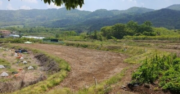 경상남도 김해시 진례면 산본리 OOOOO O OOO 답 경매 물건 이미지