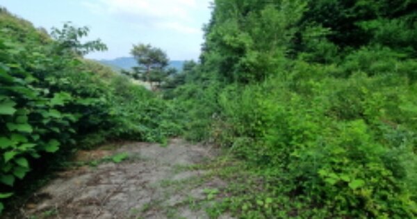 경기도 가평군 가평읍 복장리 OOO 전 경매 물건 이미지