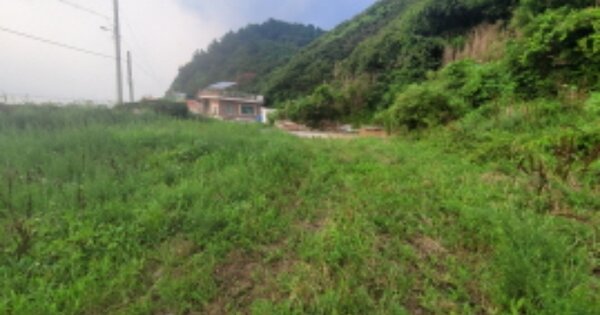 경상북도 포항시 남구 동해면 발산리 OOO 대지 경매 물건 이미지