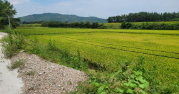 경상북도 포항시 북구 흥해읍 덕장리 OOO 답 경매 물건 이미지