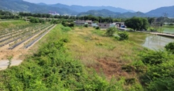 전라남도 구례군 용방면 신도리 OOOOOO 답 경매 물건 이미지