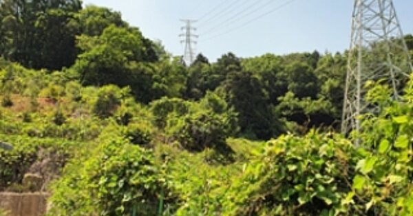 경상남도 창원시 진해구 두동 OOOO 임야 경매 물건 이미지