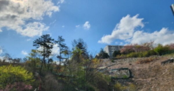 울산광역시 울주군 온산읍 덕신리 OOOOO 임야 경매 물건 이미지