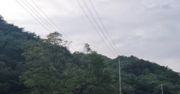 경상북도 고령군 대가야읍 지산리 OOOOO 임야 경매 물건 이미지