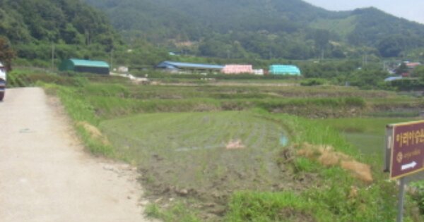 경상남도 하동군 고전면 신월리 OOOOOO 답 경매 물건 이미지