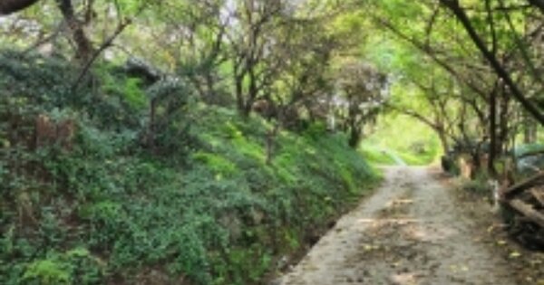 전라남도 광양시 다압면 도사리 OOOOO O OOO 전 경매 물건 이미지