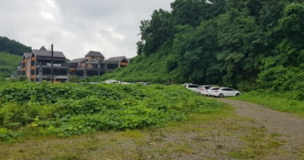 충청남도 아산시 탕정면 동산리 OOOOO 임야 경매 물건 이미지