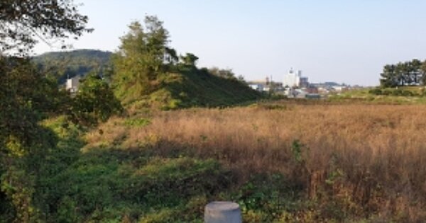 충청남도 예산군 응봉면 노화리 OOOOO O OOO 임야 경매 물건 이미지