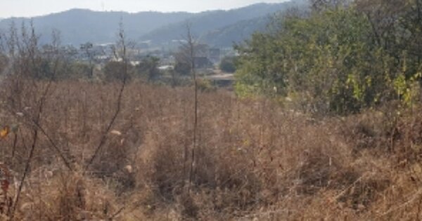 충청남도 홍성군 홍성읍 월산리 OOOOOO 전 경매 물건 이미지