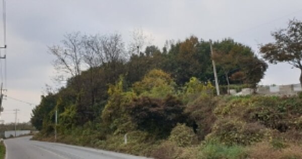 충청남도 예산군 신암면 오산리 OOOOO O OOO 임야 경매 물건 이미지