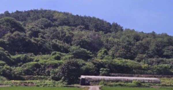 전라남도 여수시 율촌면 산수리 OOOOO O OOO 임야 경매 물건 이미지