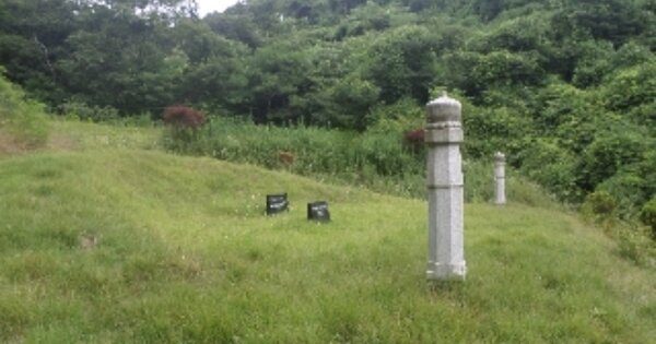 전라북도 완주군 용진읍 상삼리 OOOOO 임야 경매 물건 이미지
