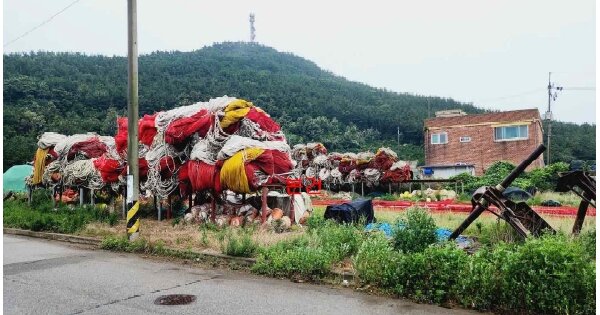 충청남도 태안군 근흥면 신진도리 OOO 대지 경매 물건 이미지