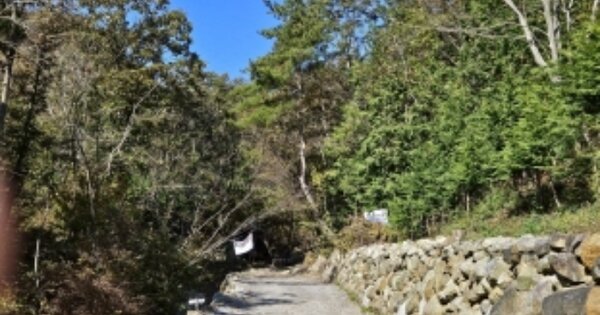 전라남도 보성군 노동면 거석리 OOO 임야 경매 물건 이미지