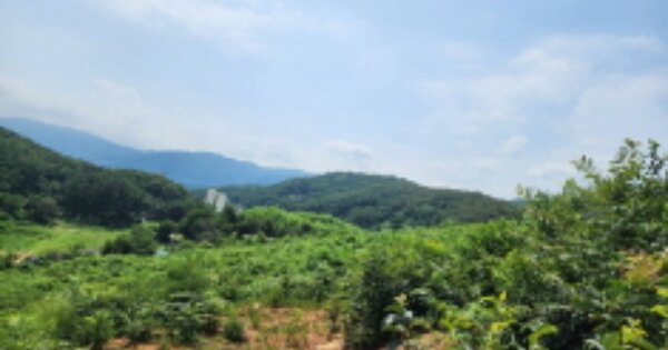 울산광역시 울주군 웅촌면 곡천리 OOOOOO 임야 경매 물건 이미지