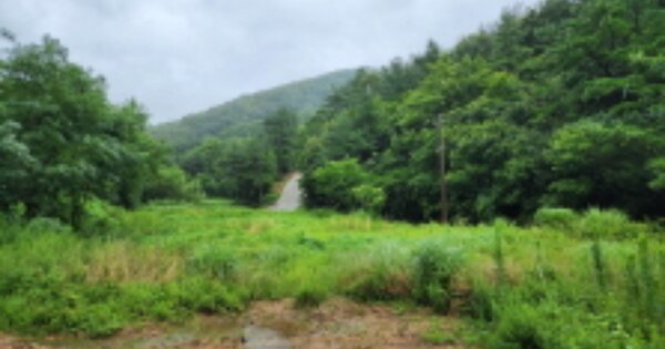 울산광역시 울주군 두서면 미호리 OOO 답 경매 물건 이미지