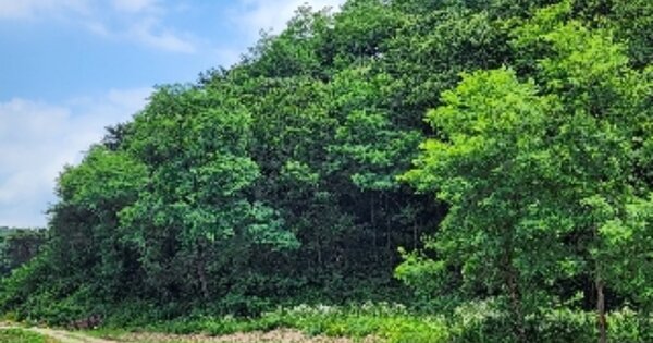 충청북도 제천시 왕암동 OOO O OOO 전 경매 물건 이미지