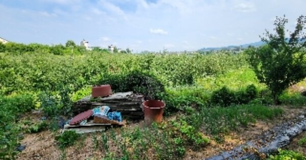 충청북도 제천시 두학동 OOOO 답 경매 물건 이미지