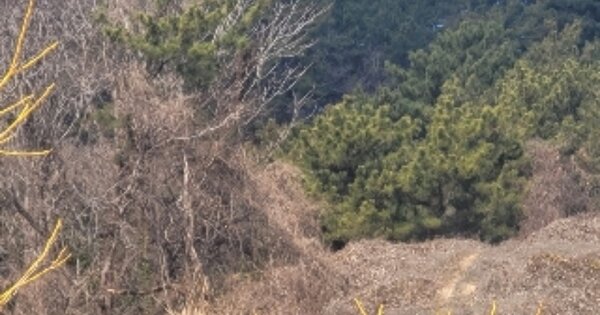 경상남도 통영시 산양읍 삼덕리 OOO 전 경매 물건 이미지
