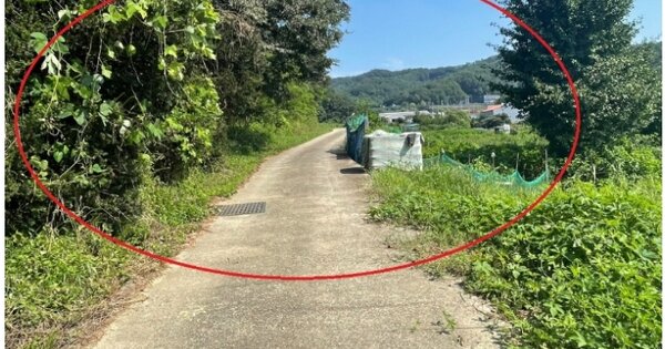 세종특별자치시 소정면 대곡리 OOOO 전 경매 물건 이미지