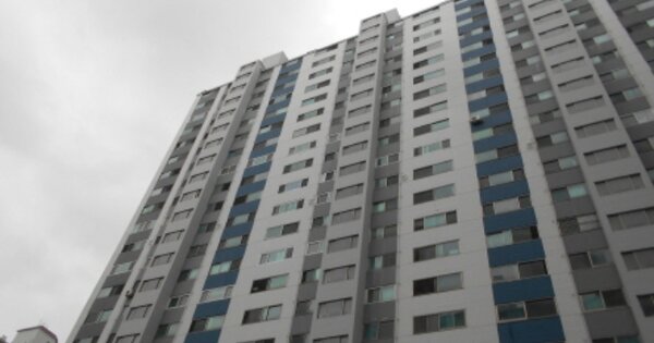 대전 서구 관저동 984, 213동 OOO OOOOO OOOOO OOOOOOOO 아파트 경매 물건 이미지