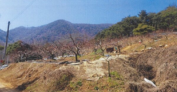 경상북도 경산시 유곡동 OOO 임야 경매 물건 이미지