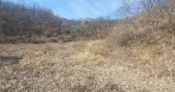 충청북도 영동군 용산면 부릉리 OOOOO O OOO 전 경매 물건 이미지