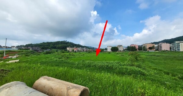 인천광역시 강화군 강화읍 옥림리 OOOO O OOO 답 경매 물건 이미지
