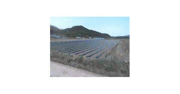 경상북도 영양군 수비면 오기리 OOO 답 경매 물건 이미지