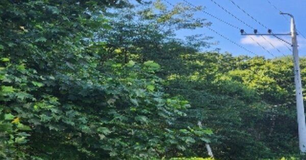 충청북도 영동군 용산면 금곡리 OO O OOO 공장 경매 물건 이미지