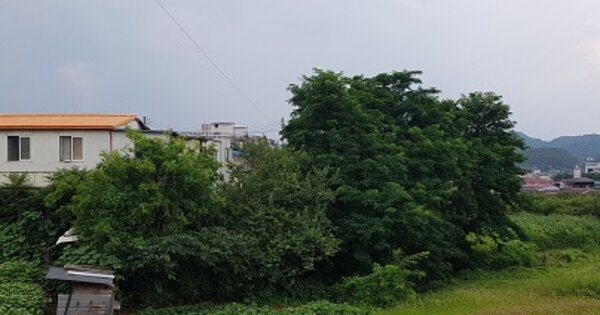 경상북도 의성군 의성읍 중리리 OOOOO 전 경매 물건 이미지
