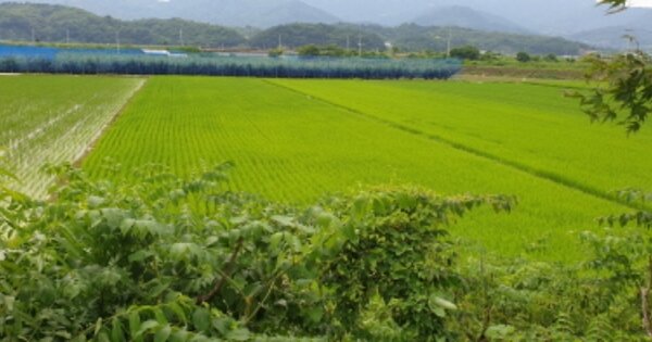 경상남도 함양군 수동면 원평리 OOO 답 경매 물건 이미지